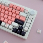 EVA Mecha-08 104+25 PBT Dye-subbed Keycaps Set Cherry Profile for MX Switches Mechanical Gaming Keyboard